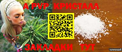 сатива Конаково