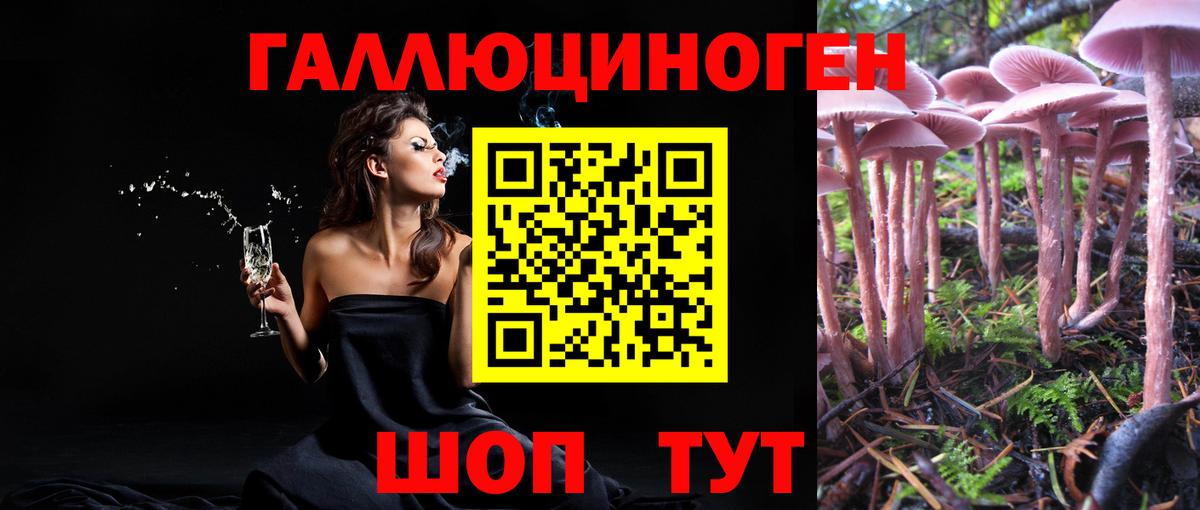 Псилоцибиновые грибы Cubensis  Вход с VPN  купить наркотик  Железногорск 