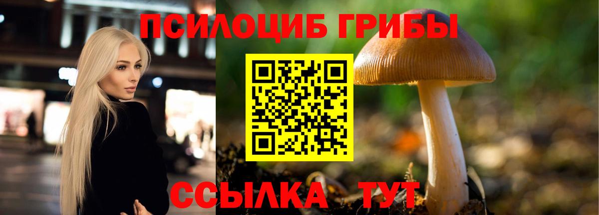 Псилоцибиновые грибы MAGIC MUSHROOMS Железногорск